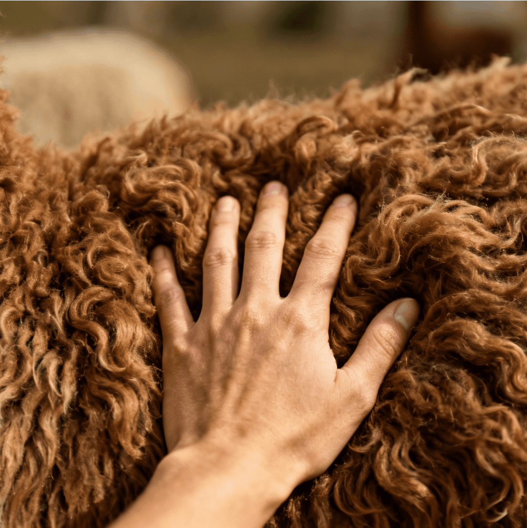 Soft like Cashmere but incredibly durable.