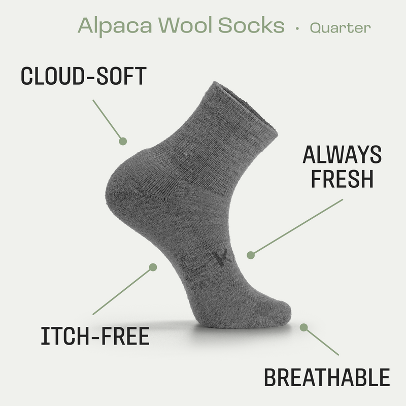 Quarter Socks